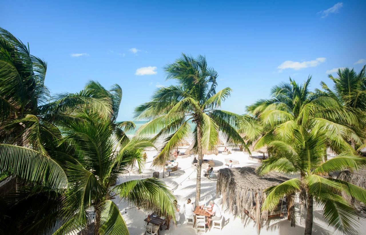 Casa Las Tortugas Petit Beach Hotel & Spa Holbox Eksteriør billede
